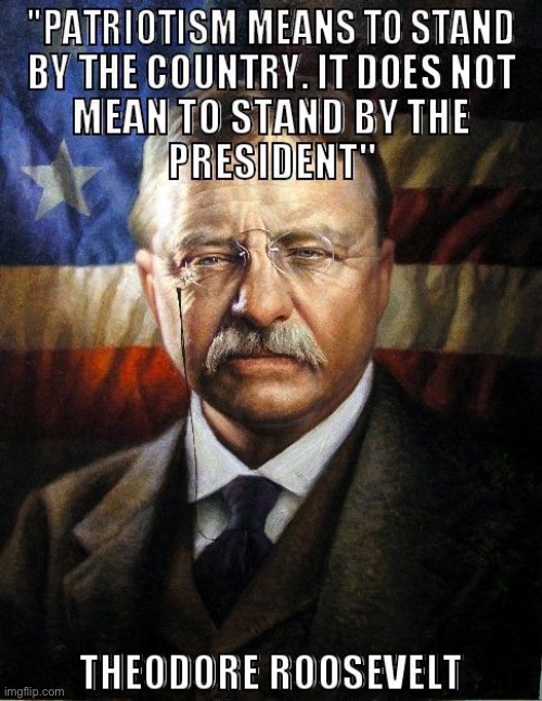 Repost. Solid guidance for these dark times. | image tagged in teddy roosevelt quote patriotism president,patriotism,teddy roosevelt,president,president trump,trump is a moron | made w/ Imgflip meme maker