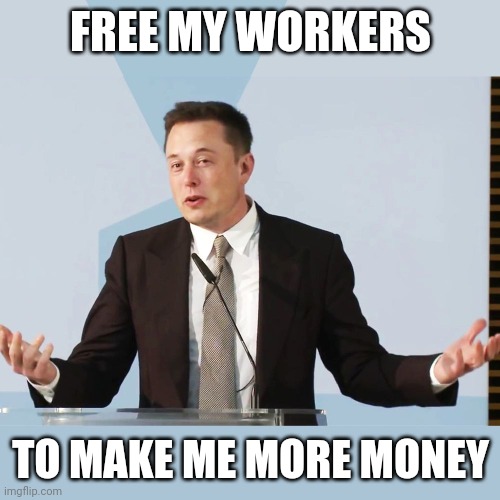 Elon Musk | FREE MY WORKERS TO MAKE ME MORE MONEY | image tagged in elon musk | made w/ Imgflip meme maker