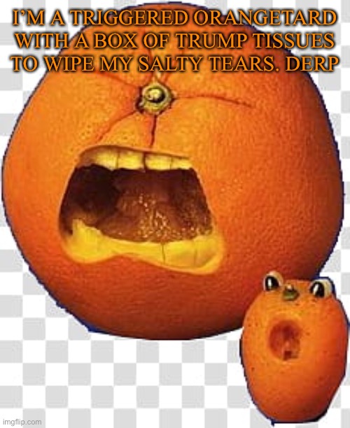 I’M A TRIGGERED ORANGETARD WITH A BOX OF TRUMP TISSUES TO WIPE MY SALTY TEARS. DERP | made w/ Imgflip meme maker