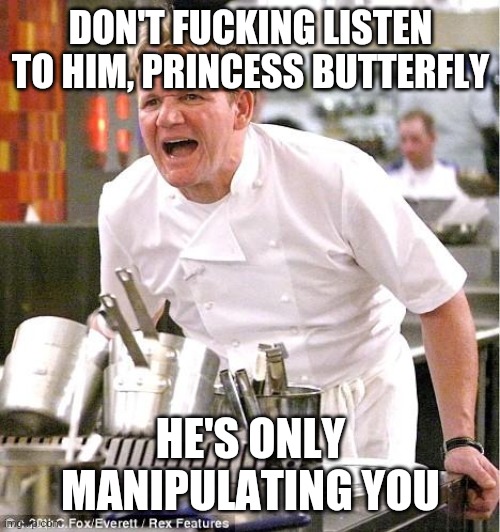 Chef Gordon Ramsay Meme | DON'T F**KING LISTEN TO HIM, PRINCESS BUTTERFLY HE'S ONLY MANIPULATING YOU | image tagged in memes,chef gordon ramsay | made w/ Imgflip meme maker