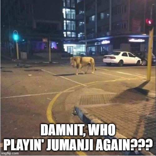 Damn Game | DAMNIT, WHO PLAYIN' JUMANJI AGAIN??? | image tagged in jumanji | made w/ Imgflip meme maker