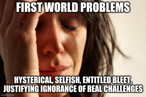 First World Problems Anti-Meme | FIRST WORLD PROBLEMS; HYSTERICAL, SELFISH, ENTITLED BLEET, JUSTIFYING IGNORANCE OF REAL CHALLENGES | image tagged in memes,first world problems | made w/ Imgflip meme maker