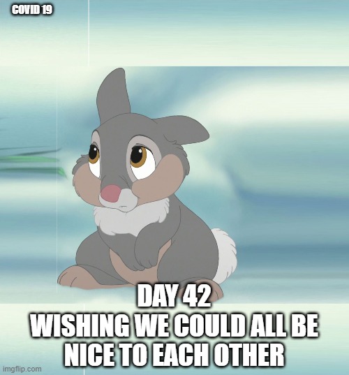thumper | COVID 19; DAY 42
WISHING WE COULD ALL BE NICE TO EACH OTHER | image tagged in monday be nice | made w/ Imgflip meme maker