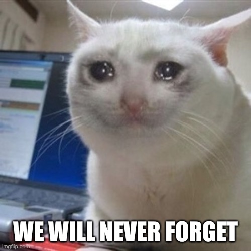 Crying cat | WE WILL NEVER FORGET | image tagged in crying cat | made w/ Imgflip meme maker