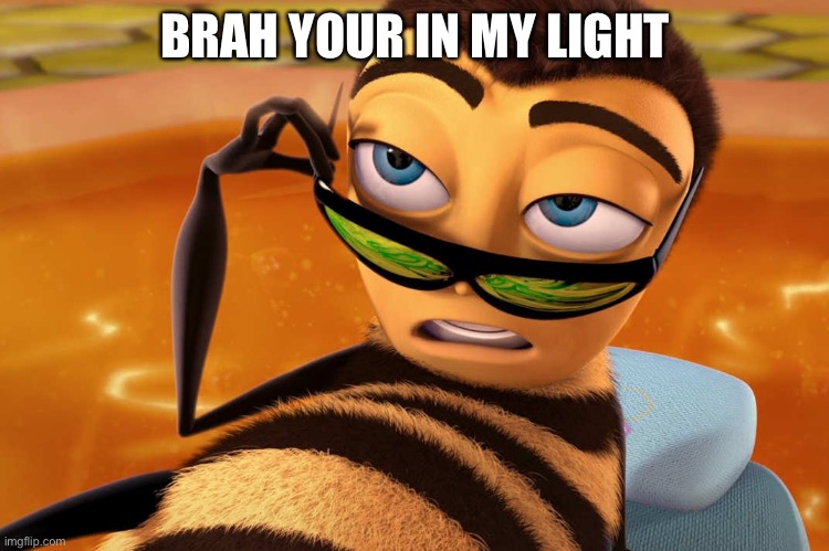 Bee movie | BRAH YOUR IN MY LIGHT | image tagged in bee movie | made w/ Imgflip meme maker