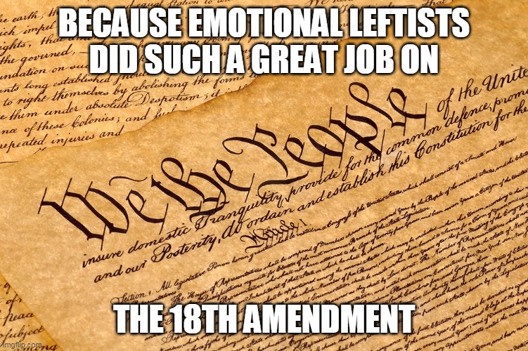 US Constitution | BECAUSE EMOTIONAL LEFTISTS DID SUCH A GREAT JOB ON THE 18TH AMENDMENT | image tagged in us constitution | made w/ Imgflip meme maker