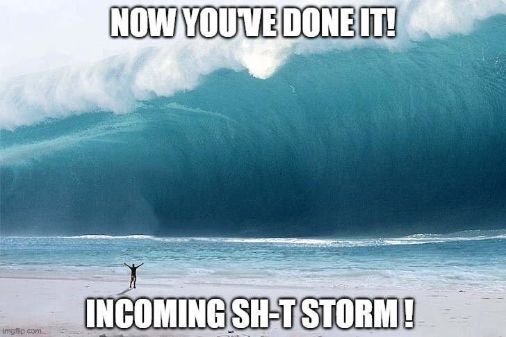 Tsunami Incoming | NOW YOU'VE DONE IT! INCOMING SH-T STORM ! | image tagged in tsunami incoming | made w/ Imgflip meme maker