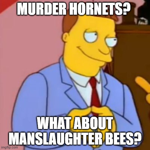 lionel hutz lawyer simpsons | MURDER HORNETS? WHAT ABOUT MANSLAUGHTER BEES? | image tagged in lionel hutz lawyer simpsons | made w/ Imgflip meme maker