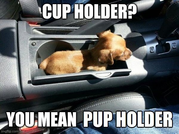 LOOKS GOOD TO ME | CUP HOLDER? YOU MEAN | image tagged in dog,puppy | made w/ Imgflip meme maker