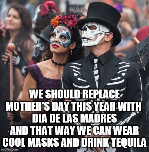 Dia de las Madres | WE SHOULD REPLACE MOTHER'S DAY THIS YEAR WITH 
DIA DE LAS MADRES
AND THAT WAY WE CAN WEAR COOL MASKS AND DRINK TEQUILA | image tagged in mothers day | made w/ Imgflip meme maker