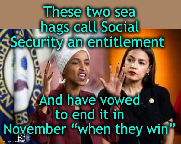 Should be renamed “Earned Retirement” | These two sea hags call Social Security an entitlement; And have vowed to end it in November “when they win” | image tagged in social security | made w/ Imgflip meme maker