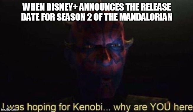 I was hoping for Kenobi | WHEN DISNEY+ ANNOUNCES THE RELEASE DATE FOR SEASON 2 OF THE MANDALORIAN | image tagged in i was hoping for kenobi | made w/ Imgflip meme maker