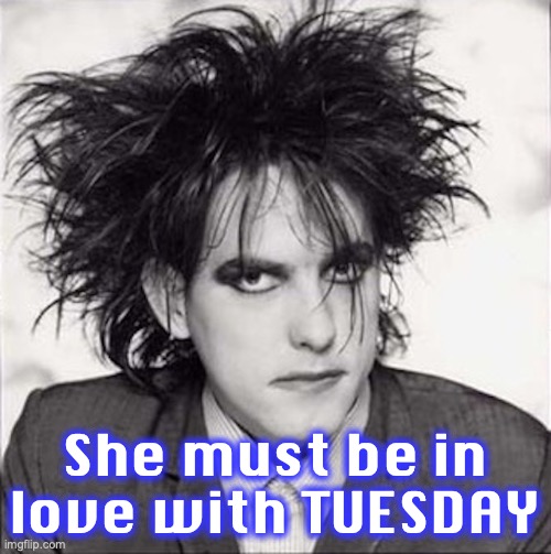 Robert Smith | She must be in love with TUESDAY | image tagged in robert smith | made w/ Imgflip meme maker