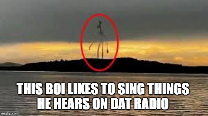 THIS BOI LIKES TO SING THINGS 
HE HEARS ON DAT RADIO | made w/ Imgflip meme maker