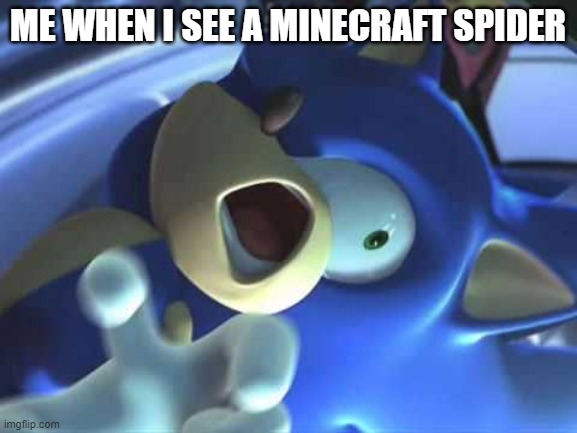 Scared Sonic  | ME WHEN I SEE A MINECRAFT SPIDER | image tagged in scared sonic | made w/ Imgflip meme maker