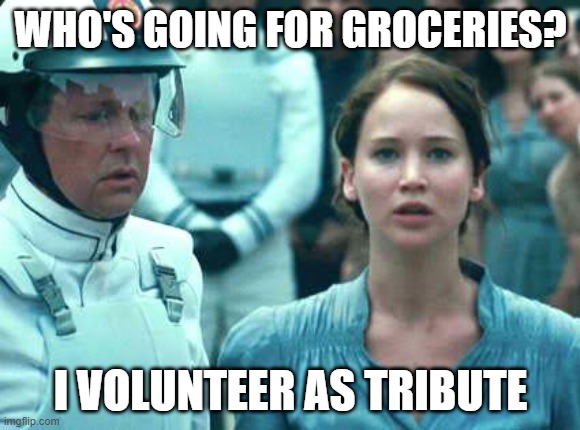 hunger games memes i volunteer