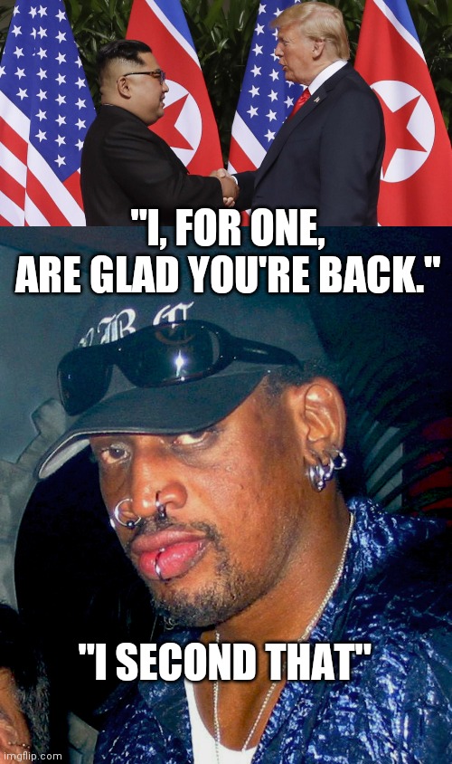 Nice to see you | "I, FOR ONE, ARE GLAD YOU'RE BACK."; "I SECOND THAT" | image tagged in dennis rodman | made w/ Imgflip meme maker