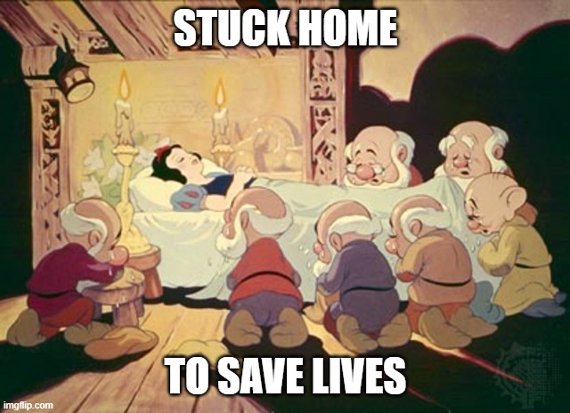 Stuck Saving | STUCK HOME; TO SAVE LIVES | image tagged in coronavirus | made w/ Imgflip meme maker