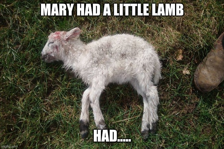 This got really dark.....really quickly Imgflip