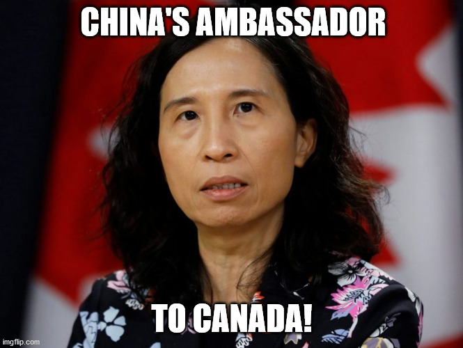 CHINA'S AMBASSADOR; TO CANADA! | image tagged in tam,scamdemic,medical,dr,dr tam | made w/ Imgflip meme maker