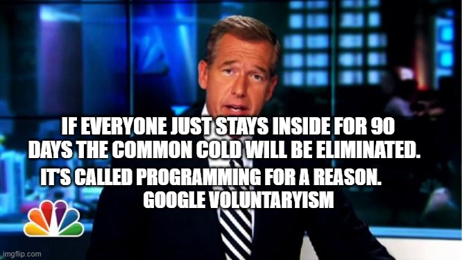 fake news | IF EVERYONE JUST STAYS INSIDE FOR 90 DAYS THE COMMON COLD WILL BE ELIMINATED. IT'S CALLED PROGRAMMING FOR A REASON.                  GOOGLE VOLUNTARYISM | image tagged in news anchor | made w/ Imgflip meme maker