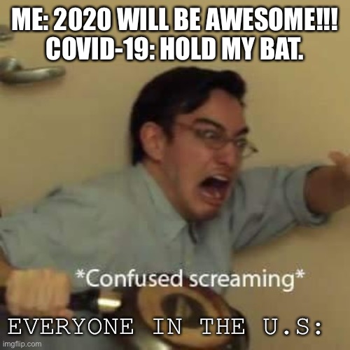 Coronavirus | ME: 2020 WILL BE AWESOME!!!
COVID-19: HOLD MY BAT. EVERYONE IN THE U.S: | image tagged in filthy frank confused scream | made w/ Imgflip meme maker