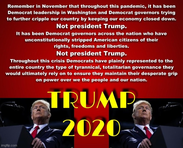 All you need to remember in November | image tagged in trump 2020,2020 elections,political,politics | made w/ Imgflip meme maker