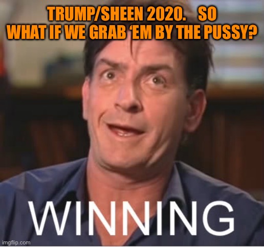 TRUMP/SHEEN 2020.    SO WHAT IF WE GRAB ‘EM BY THE PUSSY? | made w/ Imgflip meme maker