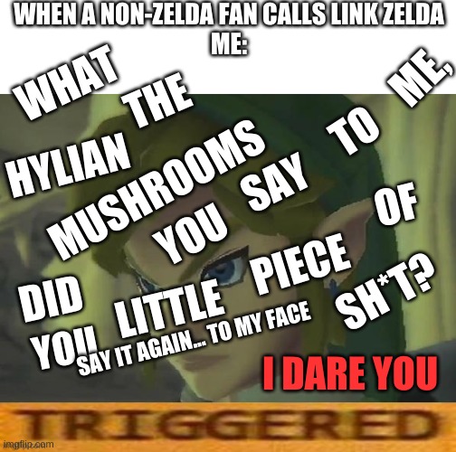 How to trigger Zelda fans--- | WHEN A NON-ZELDA FAN CALLS LINK ZELDA
ME:; ME, WHAT; THE; TO; HYLIAN; SAY; MUSHROOMS; OF; YOU; PIECE; SH*T? DID; LITTLE; YOU; SAY IT AGAIN... TO MY FACE; I DARE YOU | image tagged in blank white template | made w/ Imgflip meme maker