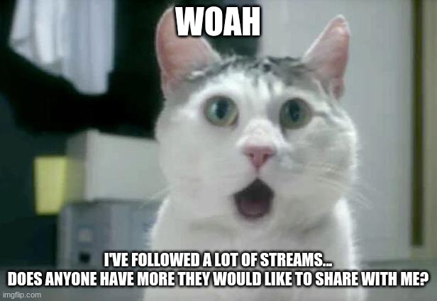 wow! | WOAH; I'VE FOLLOWED A LOT OF STREAMS...
DOES ANYONE HAVE MORE THEY WOULD LIKE TO SHARE WITH ME? | image tagged in memes,omg cat,streams | made w/ Imgflip meme maker