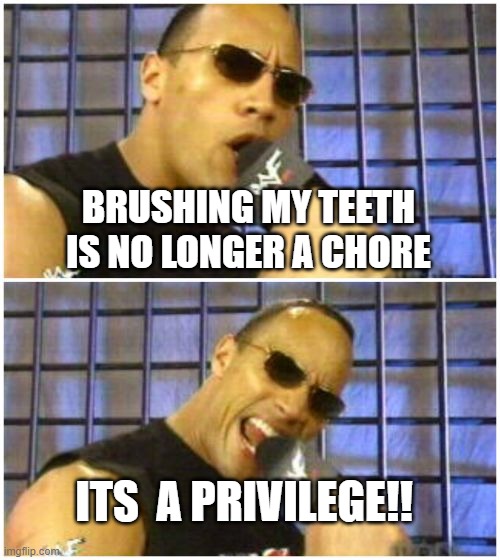 When you were a kid and you got the bubblegum toothpaste |  BRUSHING MY TEETH IS NO LONGER A CHORE; ITS  A PRIVILEGE!! | image tagged in memes,the rock it doesn't matter | made w/ Imgflip meme maker