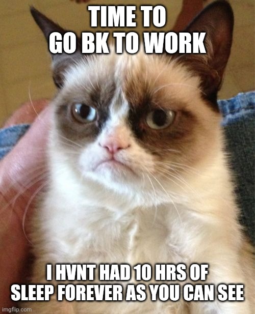 Grumpy Cat Meme | TIME TO GO BK TO WORK; I HVNT HAD 10 HRS OF SLEEP FOREVER AS YOU CAN SEE | image tagged in memes,grumpy cat | made w/ Imgflip meme maker