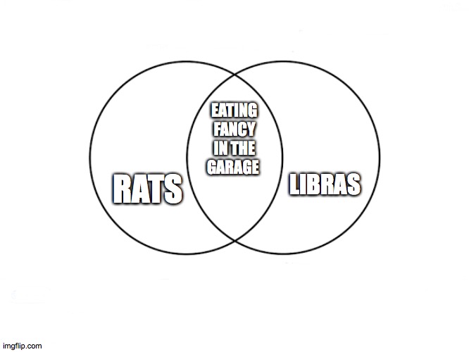 libra rats | LIBRAS; EATING FANCY IN THE GARAGE; RATS | image tagged in venn diagram | made w/ Imgflip meme maker