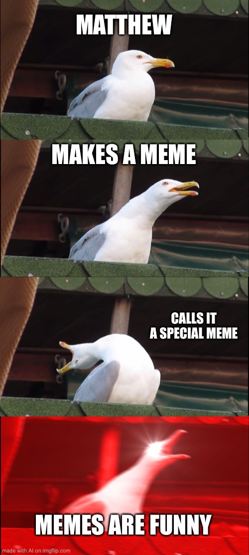 Inhaling Seagull | MATTHEW; MAKES A MEME; CALLS IT A SPECIAL MEME; MEMES ARE FUNNY | image tagged in memes,inhaling seagull | made w/ Imgflip meme maker
