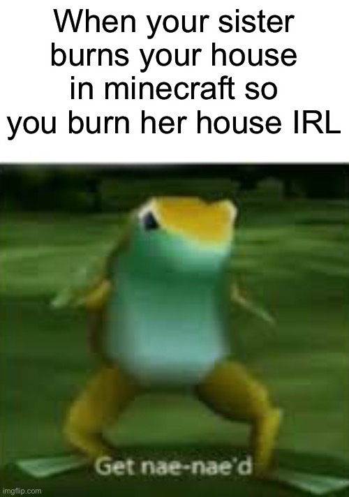 Get nae nae’d | When your sister burns your house in minecraft so you burn her house IRL | image tagged in get nae nae'd | made w/ Imgflip meme maker