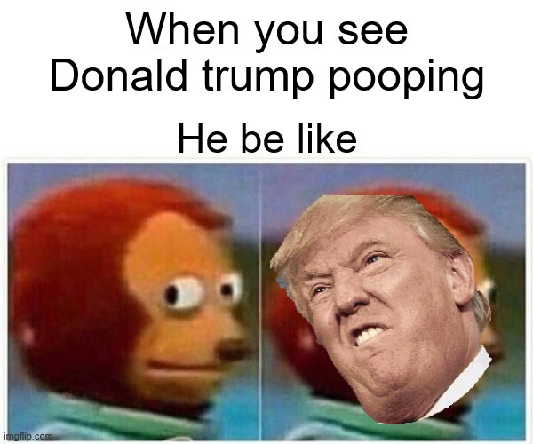 Monkey Puppet | When you see Donald trump pooping; He be like | image tagged in memes,monkey puppet | made w/ Imgflip meme maker
