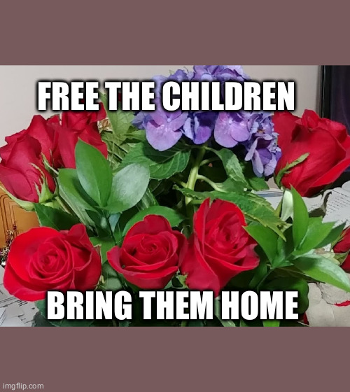 children home | FREE THE CHILDREN; BRING THEM HOME | image tagged in roses and hyacinth | made w/ Imgflip meme maker