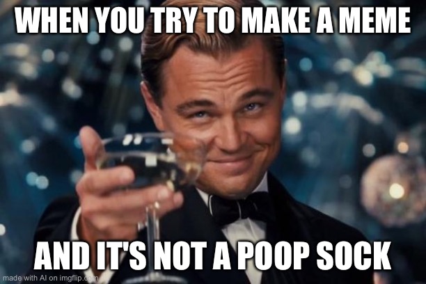 Leonardo Dicaprio Cheers Meme | WHEN YOU TRY TO MAKE A MEME; AND IT'S NOT A POOP SOCK | image tagged in memes,leonardo dicaprio cheers | made w/ Imgflip meme maker