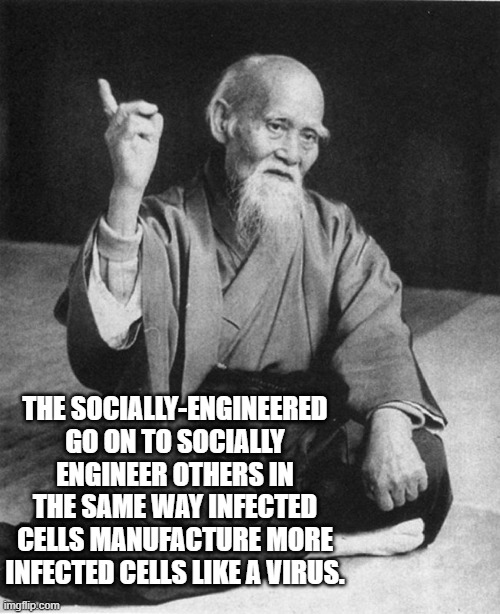 Confucius say | THE SOCIALLY-ENGINEERED GO ON TO SOCIALLY ENGINEER OTHERS IN THE SAME WAY INFECTED CELLS MANUFACTURE MORE INFECTED CELLS LIKE A VIRUS. | image tagged in confucius say | made w/ Imgflip meme maker