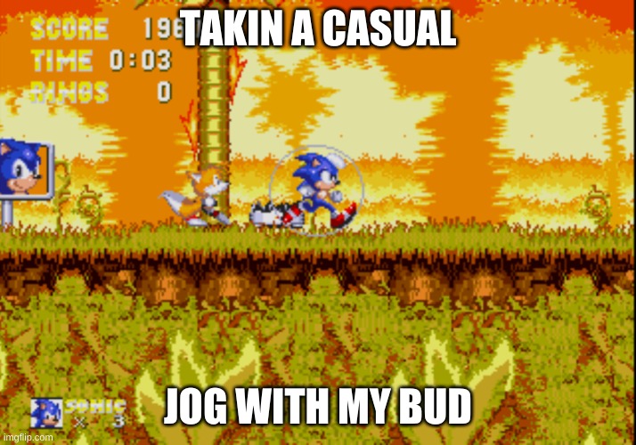 Lalalala | TAKIN A CASUAL; JOG WITH MY BUD | image tagged in sonic,sonic the hedgehog,games,gaming,sonic 3 | made w/ Imgflip meme maker