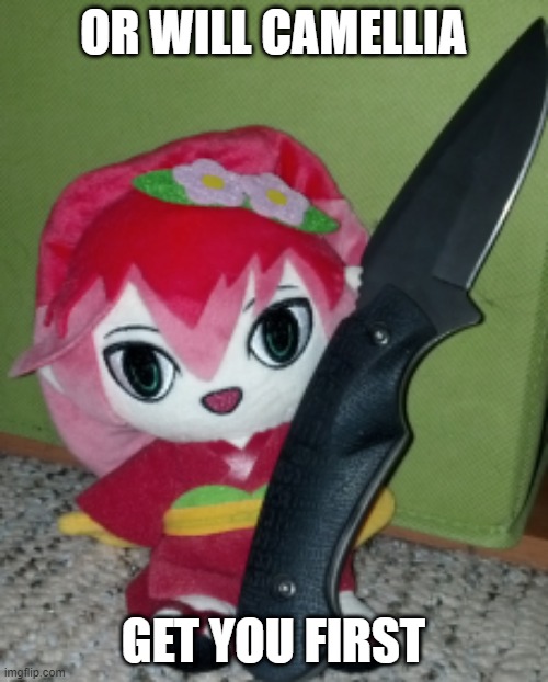 Knife Camellia | OR WILL CAMELLIA GET YOU FIRST | image tagged in knife camellia | made w/ Imgflip meme maker
