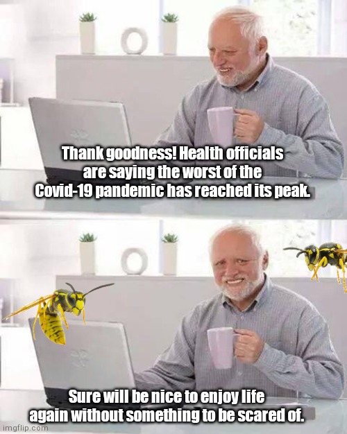 Harold meets the newest Asian threat | Thank goodness! Health officials are saying the worst of the Covid-19 pandemic has reached its peak. Sure will be nice to enjoy life again without something to be scared of. | image tagged in memes,hide the pain harold,murder hornets,asian giant hornets,coronavirus,dark humor | made w/ Imgflip meme maker