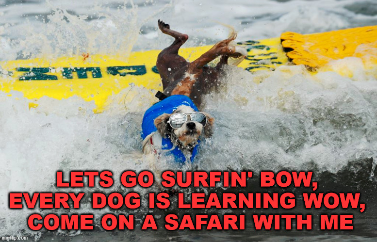 Surfing dog | LETS GO SURFIN' BOW, 
EVERY DOG IS LEARNING WOW, 
COME ON A SAFARI WITH ME | image tagged in dogs | made w/ Imgflip meme maker
