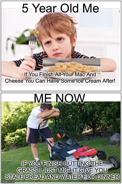 How my parents treated me when I was 5 vs How they treat me now | 5 Year Old Me; If You Finish All Your Mac And Cheese You Can Have Some Ice Cream After! ME NOW; IF YOU FINISH CUTTING THE GRASS I JUST MIGHT GIVE YOU STALE BREAD AND WATER FOR DINNER | image tagged in memes,blank comic panel 1x2 | made w/ Imgflip meme maker