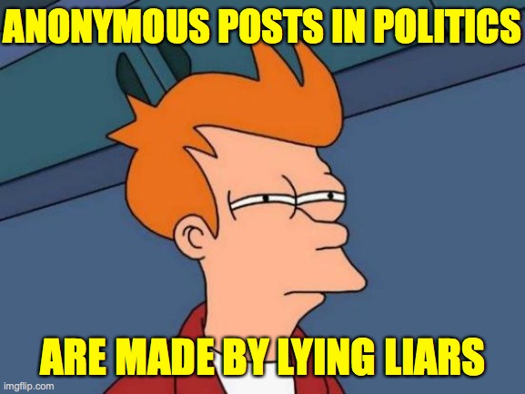 They do it to fan the flames since facts won't do the job. | ANONYMOUS POSTS IN POLITICS; ARE MADE BY LYING LIARS | image tagged in memes,futurama fry,lying liars,anonymous | made w/ Imgflip meme maker