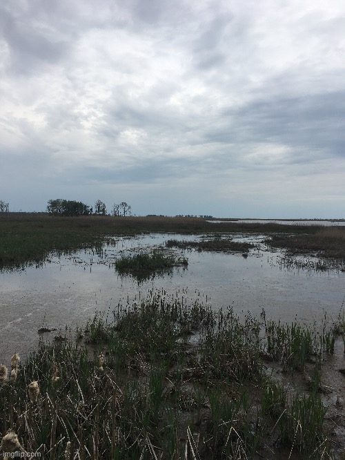 Prime Hook National Wildlife Refuge | made w/ Imgflip meme maker