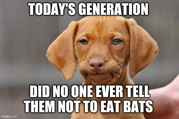 Dissapointed puppy | TODAY'S GENERATION; DID NO ONE EVER TELL THEM NOT TO EAT BATS | image tagged in dissapointed puppy | made w/ Imgflip meme maker