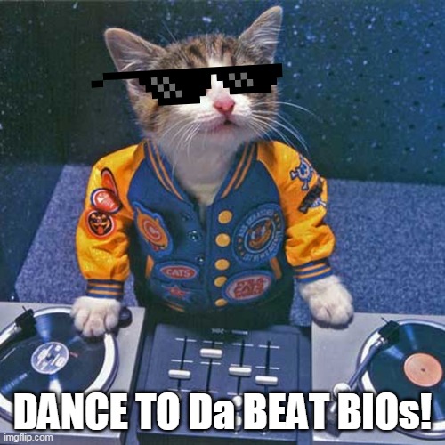  DANCE TO Da BEAT BIOs! | image tagged in dance,boi,beat | made w/ Imgflip meme maker