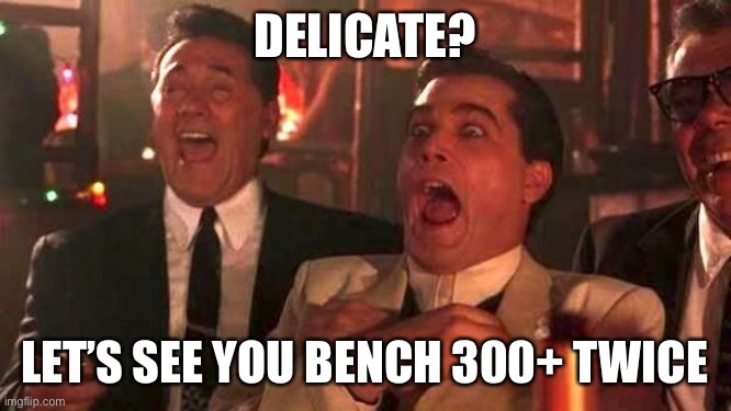 Ray Liotta Laughing In Goodfellas 2/2 | DELICATE? LET’S SEE YOU BENCH 300+ TWICE | image tagged in ray liotta laughing in goodfellas 2/2 | made w/ Imgflip meme maker