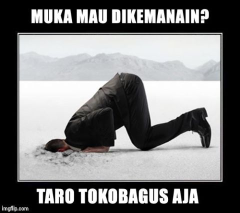 image tagged in muka | made w/ Imgflip meme maker